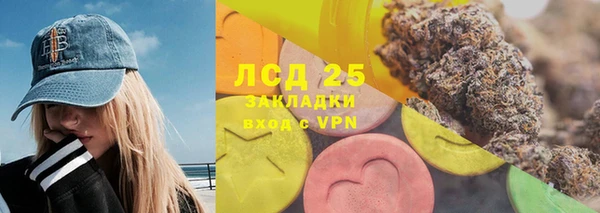 PSILOCYBIN Горняк