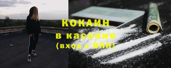 PSILOCYBIN Горняк