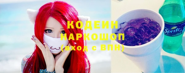 mdpv Горно-Алтайск